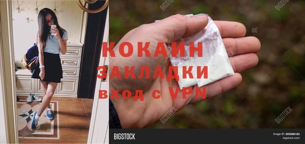 стафф Новокубанск