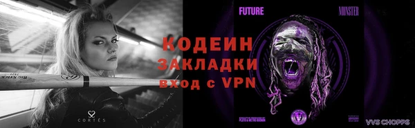 прущие грибы Нягань