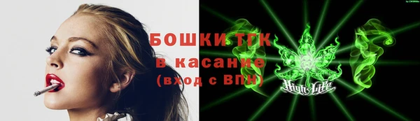 стафф Новокубанск