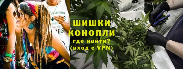 стафф Новокубанск