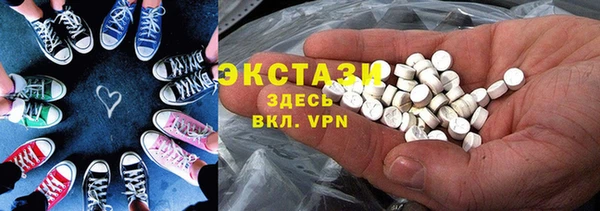 гашик Няндома