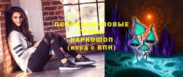 стафф Новокубанск