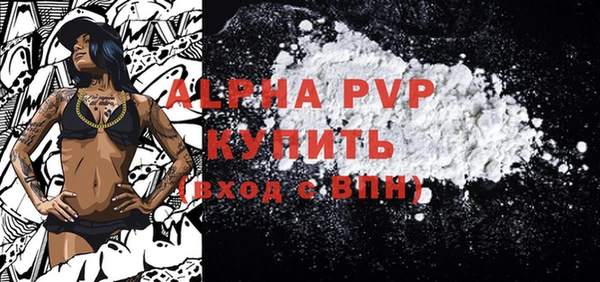 стафф Новокубанск